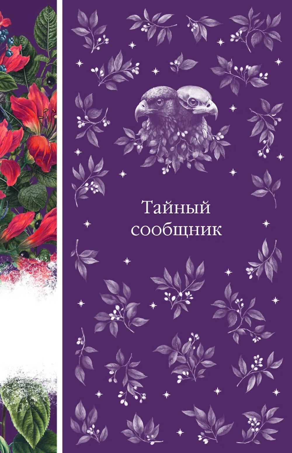 Тайный сообщник (книга #8). Элегантная классика. Темная любовь