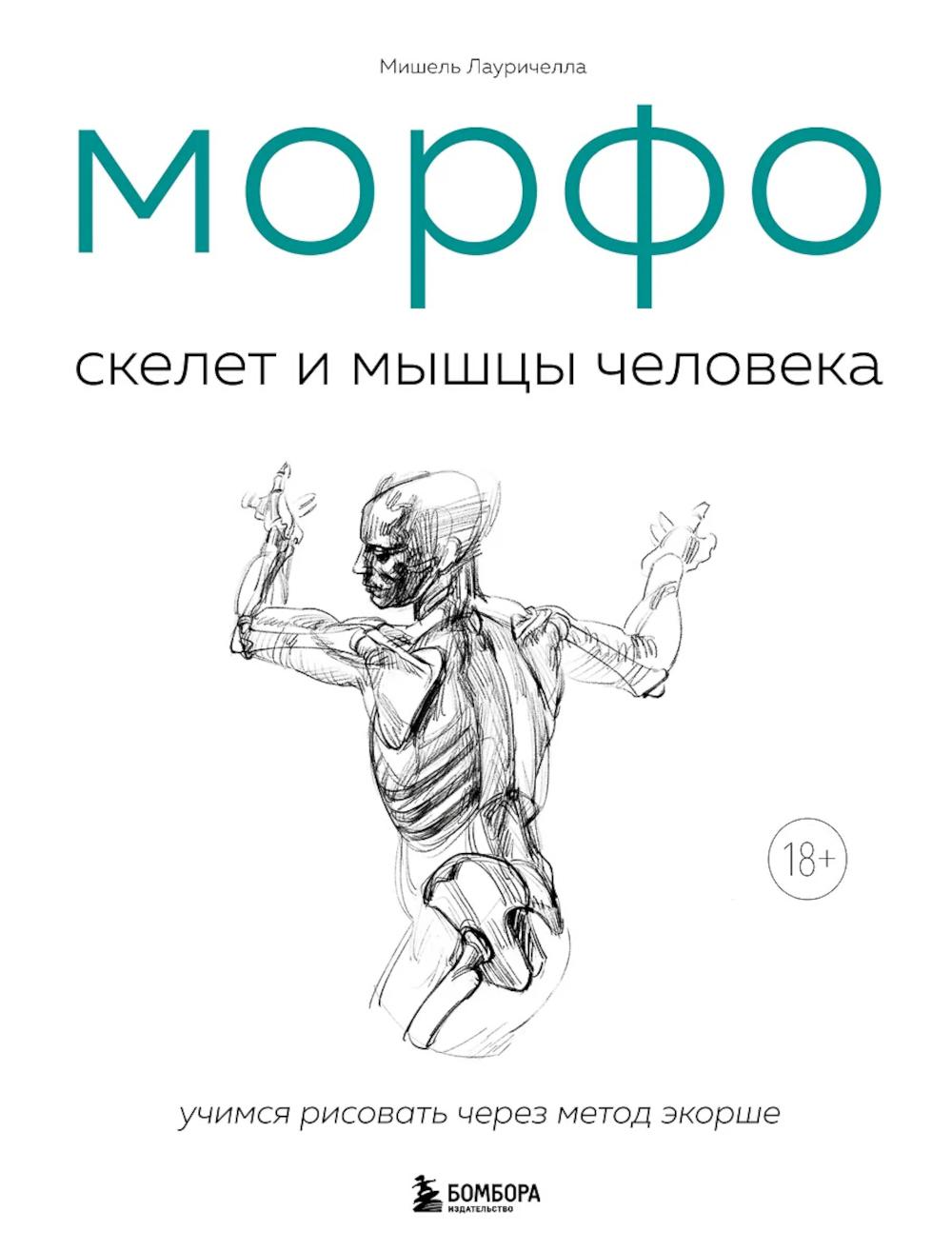 МОРФО. Скелет и мышцы человека. Анатомия для художников. Лауричелла М.