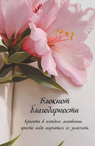 Блокнот благодарности. Красота в каждом мгновении, просто надо научиться ее замечать.