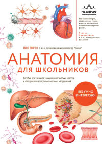 Анатомия для школьников. Пособие для учеников химико-биологических классов и абитуриентов естественно-научных направлений. Егоров И.В.