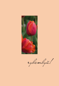 Чувствуй! Ежедневник недатированный (А5, 72 л.). <не указано>