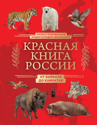 Красная книга России. От Байкала до Камчатки. Иллюстрированная энциклопедия школьника (48 стр.). Добрыня Ю.М.