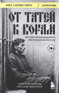 От татей к ворам: история организованной преступности в России.. Евдокимов А.В., Воробьев А.В.