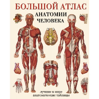 Большой атлас анатомии человека/Атлас анатомии человека в таблицах