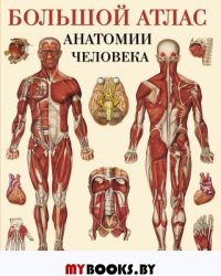 Большой атлас анатомии человека.