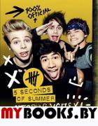 5 Seconds of Summer. История успеха. Хеммингс Люк