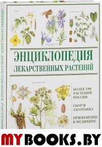 Энциклопедия лекарственных растений