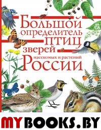 Большой определитель птиц, зверей, насекомых и растений России. Волцит П.М., Полевод В.А., Пескова И.М. и др.