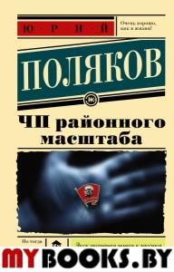 ЧП районного масштаба. Поляков Ю.М.