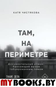 Там, на периметре. Чистякова К.