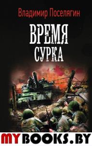 Время сурка. Поселягин В.Г.