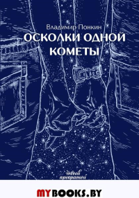 Осколки одной кометы. Понкин В.О.