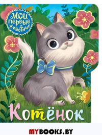 Котёнок. Емеленко С.Н.