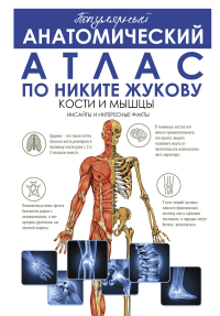 Популярный анатомический атлас по Никите Жукову: кости и мышцы. Инсайты и интересные факты. Жуков Н.Э.