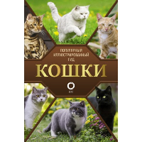 Кошки