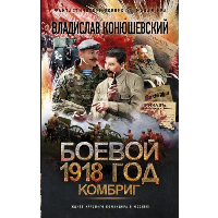 Боевой 1918 год. Комбриг: роман