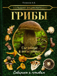 Большая энциклопедия. Грибы. Съедобные и несъедобные. Собираем и готовим.. Поленов А.Б.