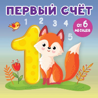 Первый счет. Игнатова А.С.