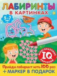 Лабиринты в картинках. Пиши-стирай. Для детей 5-7 лет. Дмитриева В.Г.