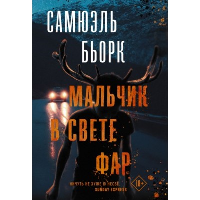 Мальчик в свете фар. Бьорк С.