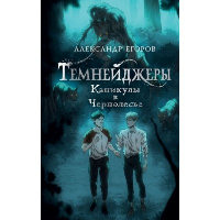 Темнейджеры. Каникулы в Чернолесье. Егоров А.А.