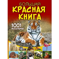 Большая красная книга. 1001 фотография. Спектор А.А.