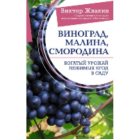 Виноград, малина, смородина. Богатый урожай любимых ягод в саду. Жвакин В.В.