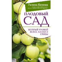 Плодовый сад. Богатый урожай яблок, вишни и сливы. Кизима Г.А.