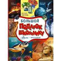 Большой подарок школьнику. Ликсо В.В., Тараканова М.В., Хомич Е.О. и др.