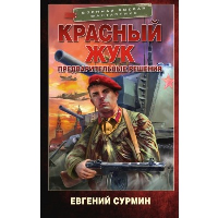 Красный Жук. Предварительные решения. Сурмин Е.В.