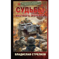 Судьбы местного значения. Стрелков В.В.