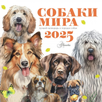 Собаки мира. Календарь для детей на 2025 год. .