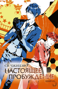 Настоящее пробуждение. Real Awakening. Книга 3. Си Ч.
