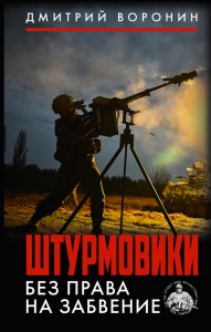 Штурмовики. Без права на забвение. Воронин Д.