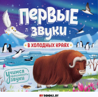 В холодных краях: книжка-гармошка.