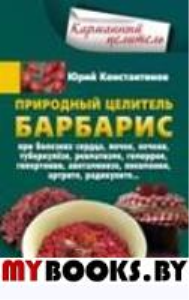 Природный целитель барбарис. При болезнях сердца, почек, печени, туберкулезе, ревматизме, геморрое, гипертонии, авитаминозе, пневмонии, артрите, радикулите. Константинов Ю.М.