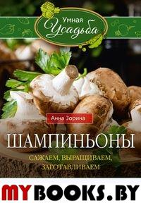 Шампиньоны. Сажаем, выращиваем, заготавливаем. Уникальные лечебные свойства и кулинарные рецепты. Зорина А.И.