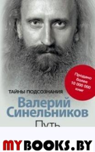 Путь к богатству. Как стать и богатым и счастливым. Синельников В.В.