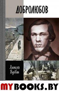 Добролюбов разночинец между духом и плотью. Вдовин А.