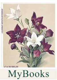 Садовые многолетники.