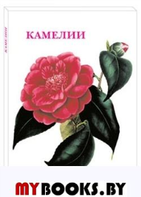 Камелии.