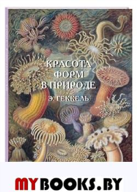 Красота форм в природе. Геккель Э.