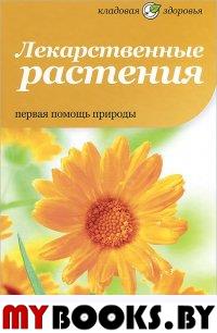 Лекарственные растения. Первая помощь природы. Потапова Н.