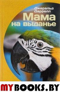 Мама на выданье