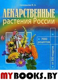 Лекарственные растения России. Карманный справочник