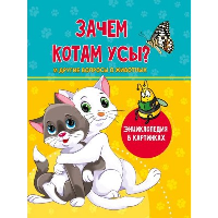 Зачем котам усы?