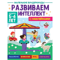 Развиваем интеллект. 5-6 лет.