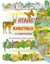 Атлас животных в картинках. Путешествие вокруг света. Барсотти Э.