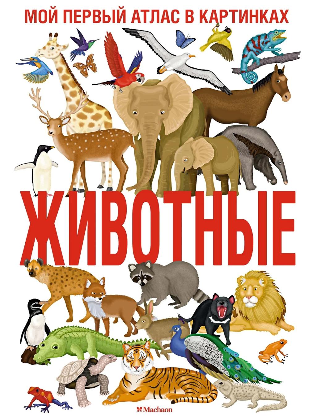 Животные. Мой первый атлас в картинках. Барсотти И.