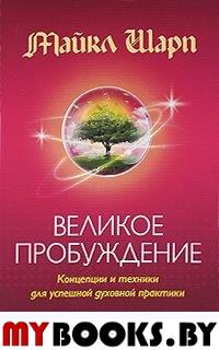 Великое Пробуждение: Концепции и техники для успешной духовной практики